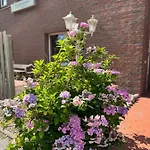 Deich Winde 9.1 Apartament *