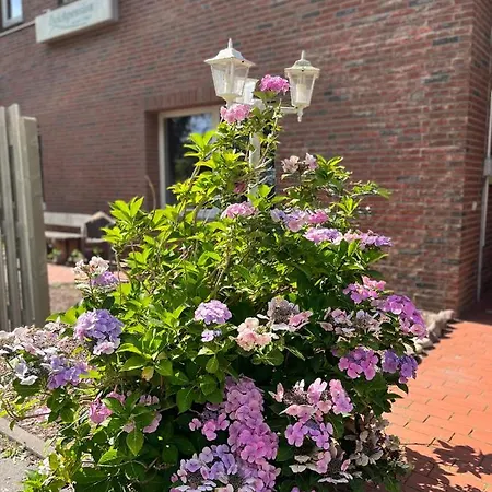 Deich Winde 9.1 Apartament *