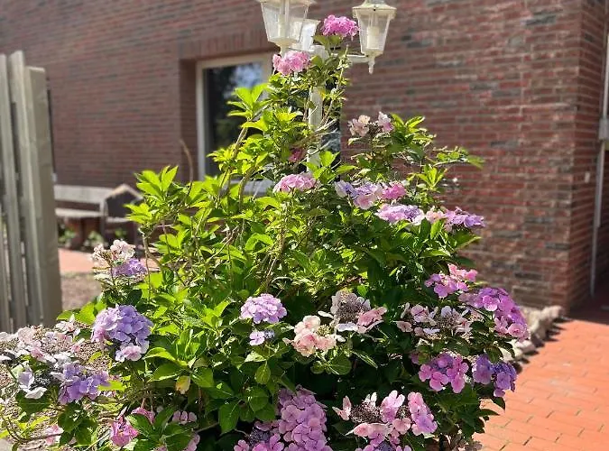 Deich Winde 9.1 Апартаменты *